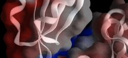 Ученые определили белковые структуры смертельных болезней