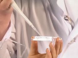 ЭКО не увеличивает риск развития рака