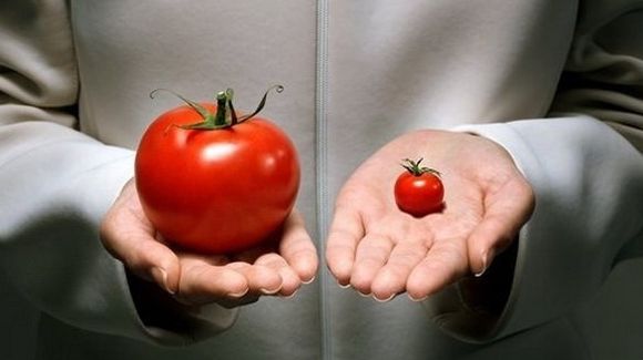 ГМО продукты приводят к развитию лейкемии